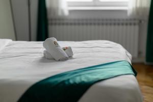 Luxurious 1-Bedroom Apartment in center of Zagreb