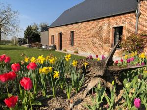 Maisons de vacances Chez meme d-Hecq : photos des chambres