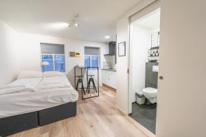 Day Dream Central Akureyri Basement Studio