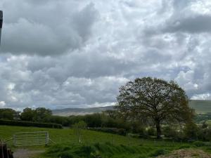 Shepherds Hut - Brecon Beacons