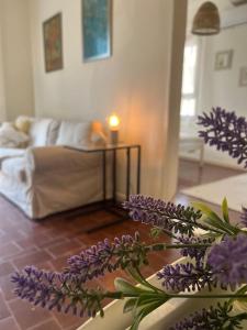 Marisia Apartment - Ubytování bez kategorie ve městě Zakynthos