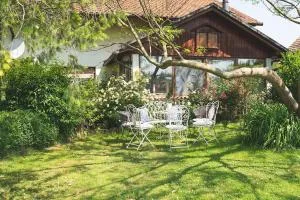 Apartma Župelefski raj - Donji Kraj