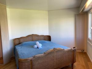 Villas Maison a 2 pas de Geneve : photos des chambres