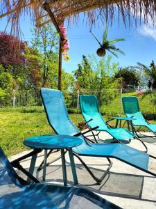 Maisons d'hotes Ile des Plaisirs, Chambres d'Hotes Naturistes avec Petit-Dejeuner Tropical Inclus : photos des chambres