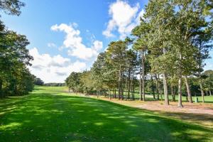 A Contemporary Gem w Cape Character Dog Friendly