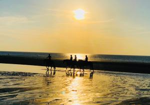 Maisons de vacances L'Oree du Golf - Maison Deauville 8 personnes : photos des chambres
