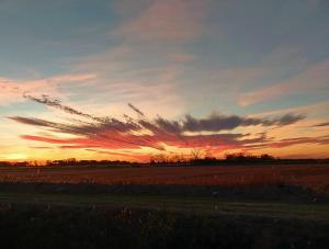 Appartements Mas Constantin : photos des chambres