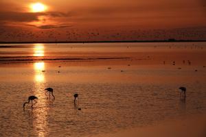 Appartements Mas Constantin : photos des chambres