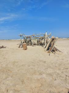 Appartements Mas Constantin : photos des chambres