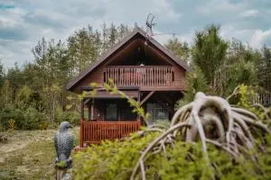 Domki u Kamyka - Osówek