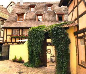 Appartements Les Gites Coeur de Vigne : photos des chambres
