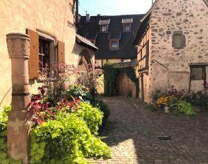 Appartements Les Gites Coeur de Vigne : Appartement en Duplex