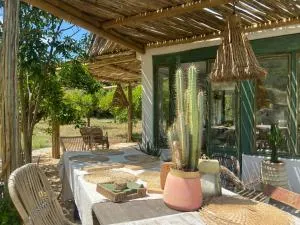 The4Elements - Монда