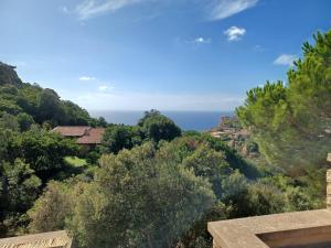 Villa La Lecceta surrounded by greenery and sea view with sunset