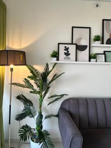 Ivory: 3Bhk Duplex near Balewadi High Street