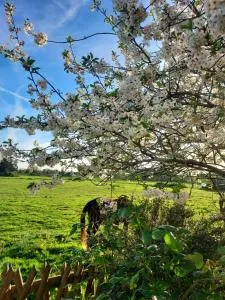 GITE LA BEAUTEE - 滨海埃尔芒维尔