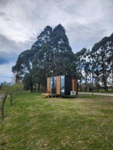 Brynderwyn Hill of Oaks by Tiny Away