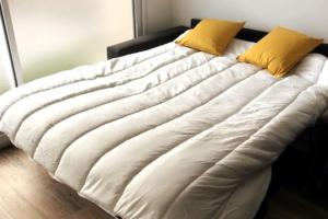 LAindus de Brou- parking privé- RDC