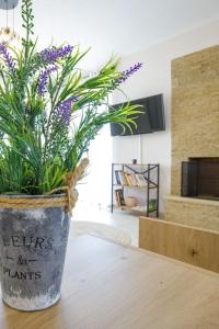 Over the Messinian Plain