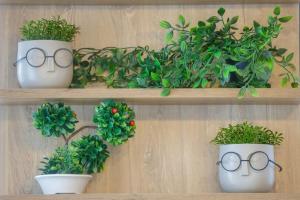 Over the Messinian Plain