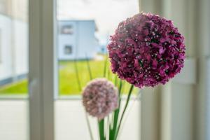 Hangar 19 Superior Apartment mit Terrasse und Garten H1W2