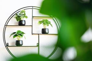 Dresden City Apartment, zentral & ruhig