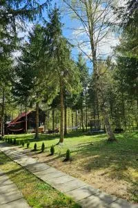 Misha's House - Sebeşu de Jos