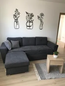 Apartman SLAVONIA 2 - Mandičevac