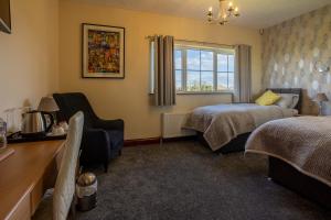 Deluxe Double or Twin Room with Shower room in Glendaloch B&B