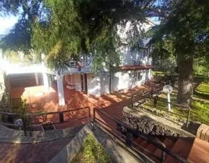 Villa Lia - Ischia porto - Mandria