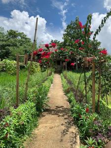 PuBin Spice Hills