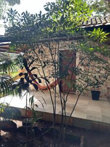 Pousada de Campo Estância Bahamas