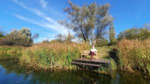 Kökényház vendégház