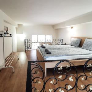 Urban Oasis close to the area of Universities