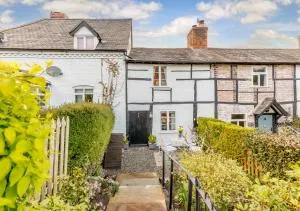 Fiddler's Cottage - Llandyssil