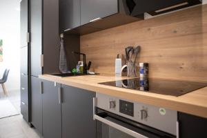 Appartements Le Mulhousien/ Parking gratuit / WIFI / Lave linge/ Tudors Locations : photos des chambres
