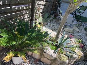 Appartements Grand Appartement T2, charmant jardin : photos des chambres