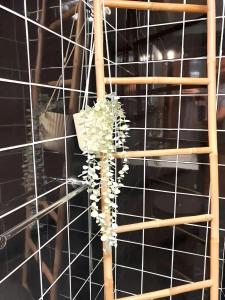 Comfortable House in Lamego with Unfenced Garden