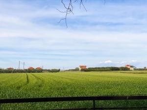 Pond and Pines, by nice house by the sea!