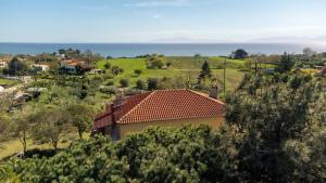 Pond and Pines, by nice house by the sea!