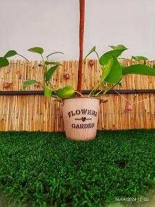 Seixal Bay Village - Estúdio Vista Piscina