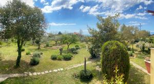 Pond and Pines, by nice house by the sea!