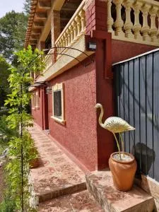 Apartement Golden Flamenco - Bárig