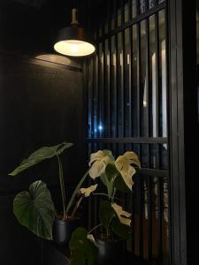 Nhật Quang House 2