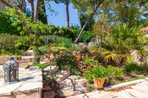 Appartements Logement de charme les Araucarias : Appartement Supérieur 1 Chambre