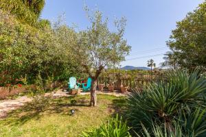 Appartements Logement de charme les Araucarias : photos des chambres