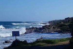 Appartements Studio climatise tout confort a 100 m de la plage : photos des chambres