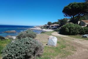 Appartements Studio climatise tout confort a 100 m de la plage : photos des chambres