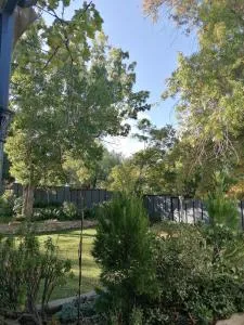 The Broad Place - 罗森维尔