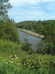 Campings Camping de La Hallerais Dinan : photos des chambres